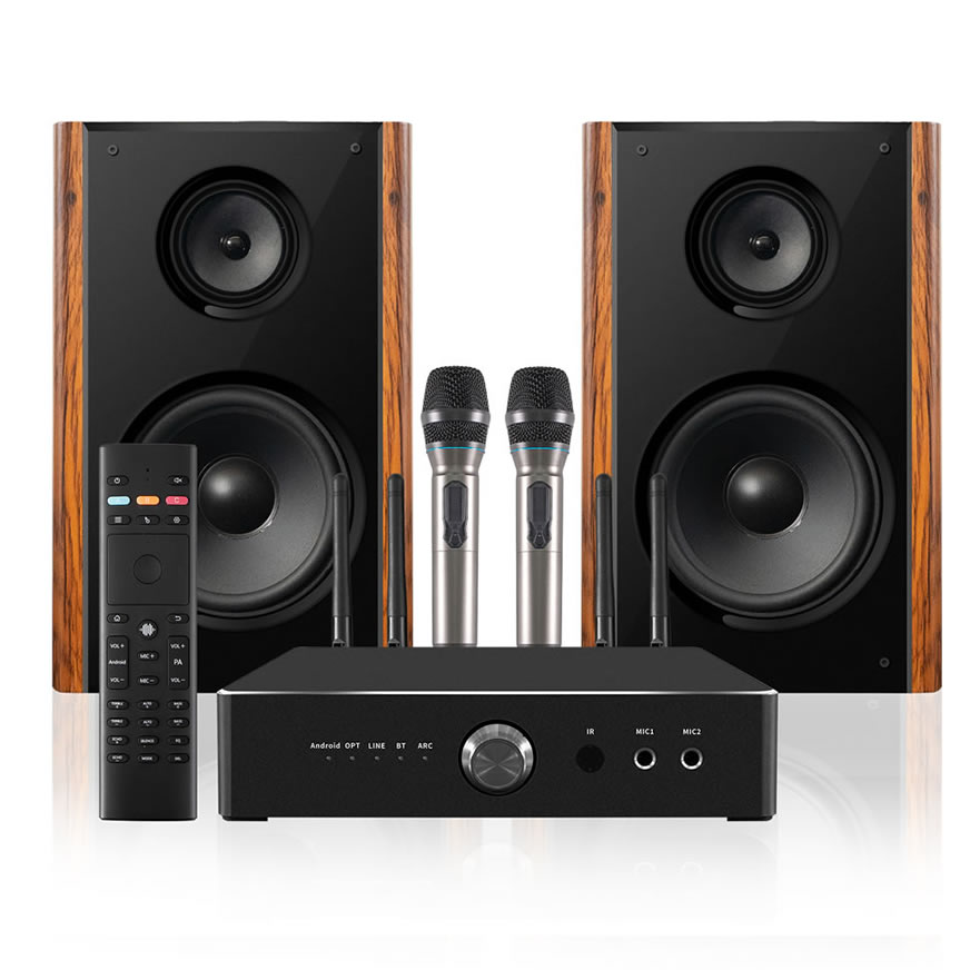 Professioneller 300W High Power Heimkaraoke-Lautsprecher | iHomeLife-HLQ HiFi-Audio für Heim-KTV, Heimkino und Kleine Aufführungen