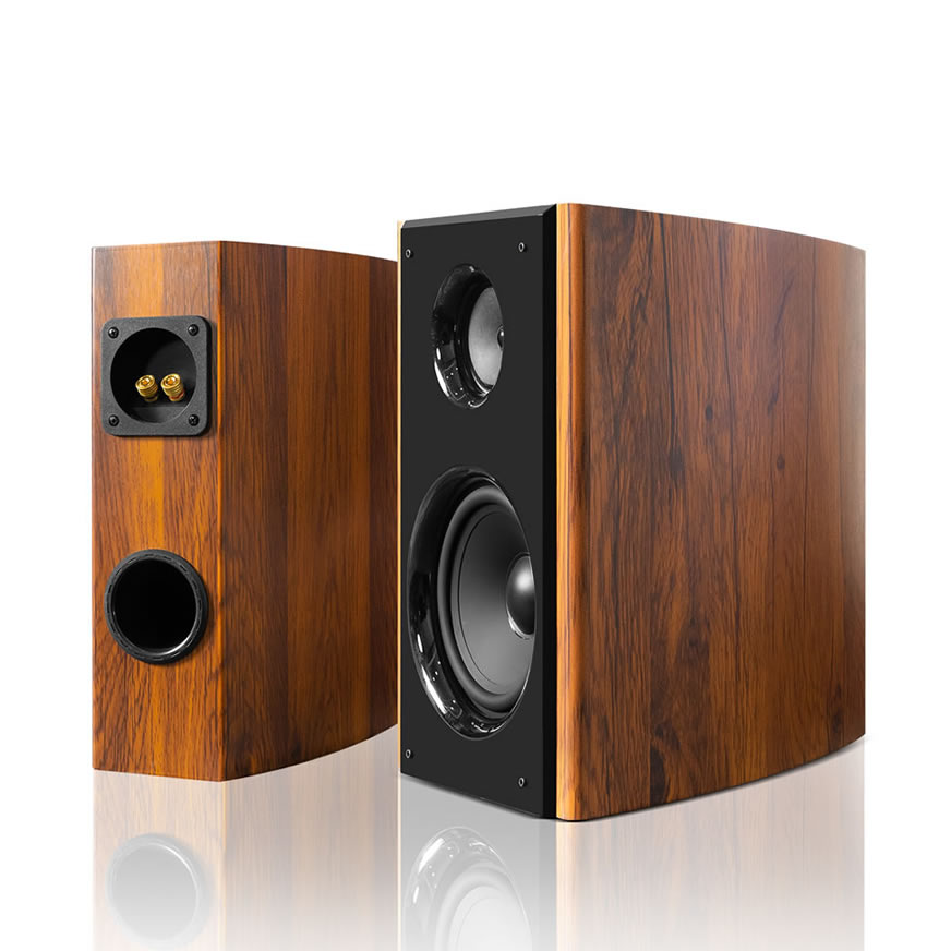 Enceinte de Karaoké Maison Professionnelle 300W Haute Puissance | iHomeLife-HLQ Audio HiFi pour KTV Maison, Home Cinéma et Petites Représentations