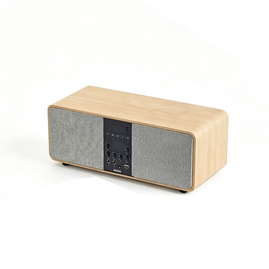 MUZEE M10 Système Home Cinéma & Karaoké Tout-en-Un