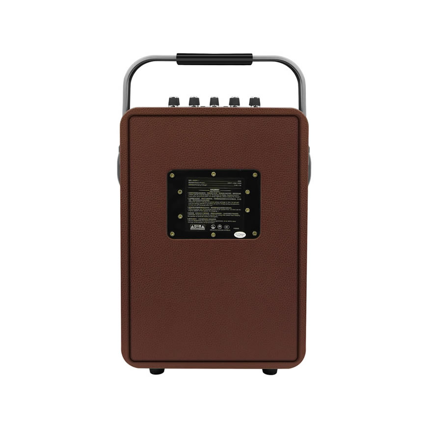 Nouvelle enceinte karaoké portable (enceinte spéciale pour la performance d'instruments de musique et le chant)